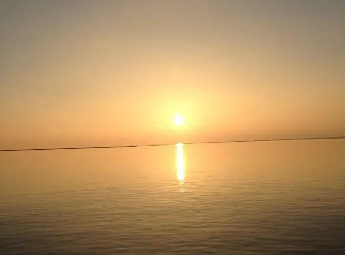 Pico グレートジール